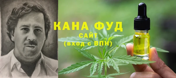амф Новозыбков