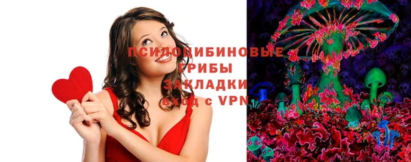 твердый Алексин