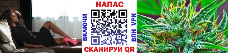Конопля план  Ардон 